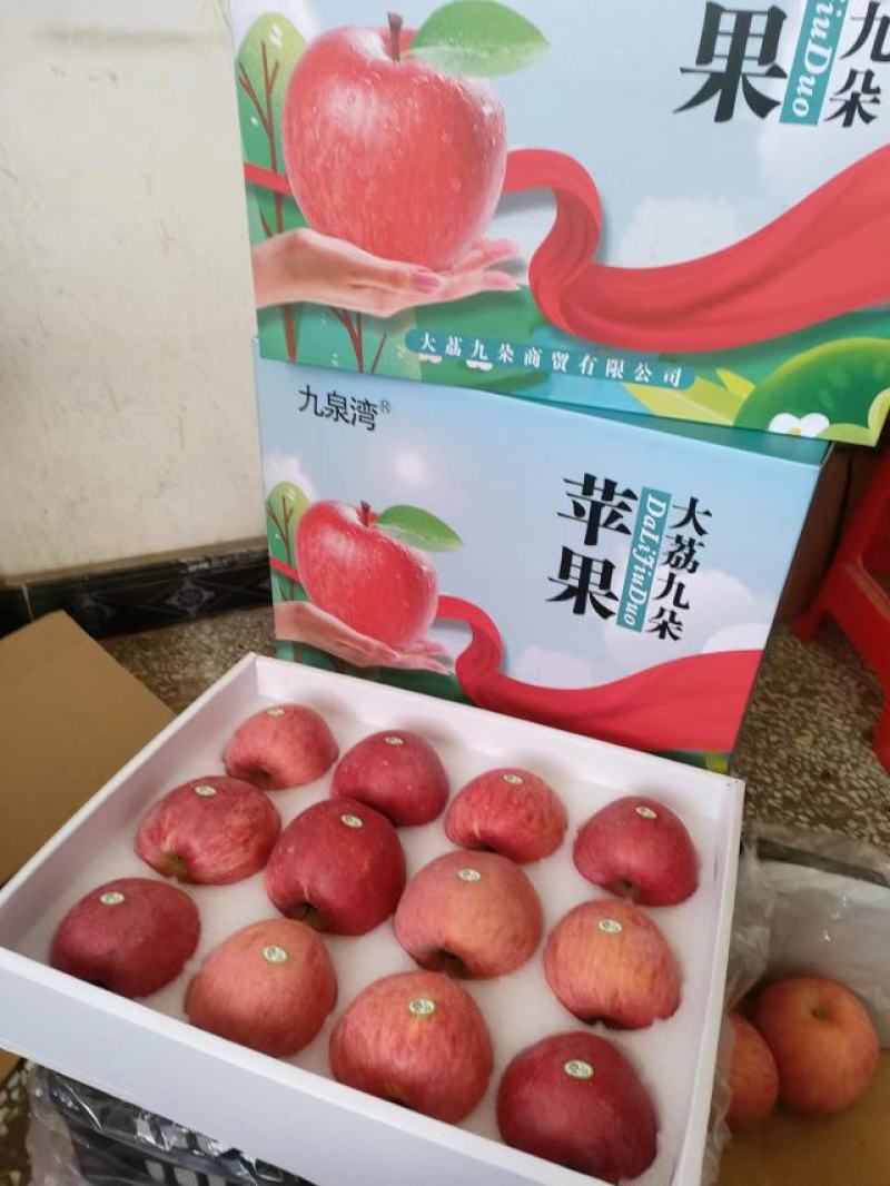 陕西精品苹果-九泉湾®来自海拔1068米的礼物，洛川富士