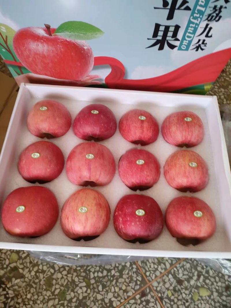 陕西精品苹果-九泉湾®来自海拔1068米的礼物，洛川富士