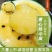 江苏优质黄心特小凤精品西瓜黄壤全国可发团购商超