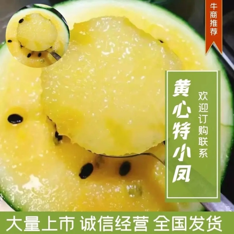 江苏优质黄心特小凤精品西瓜黄壤全国可发团购商超