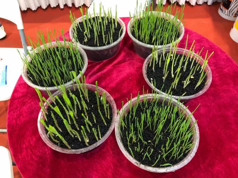 复合微生物菌剂