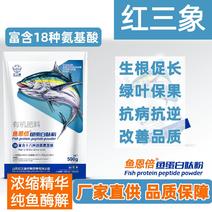 纯鱼酶解鱼蛋白肽粉氨基酸叶面肥膨果绿叶植物抗冻剂抗逆增甜