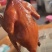红烧脆皮乳鸽4到6两（半成品）拆开包装即可炸或烤工厂发货