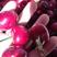 露天大樱桃现已大量上市，品种齐全，原产地直发！！