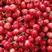 露天大樱桃现已大量上市，品种齐全，原产地直发！！