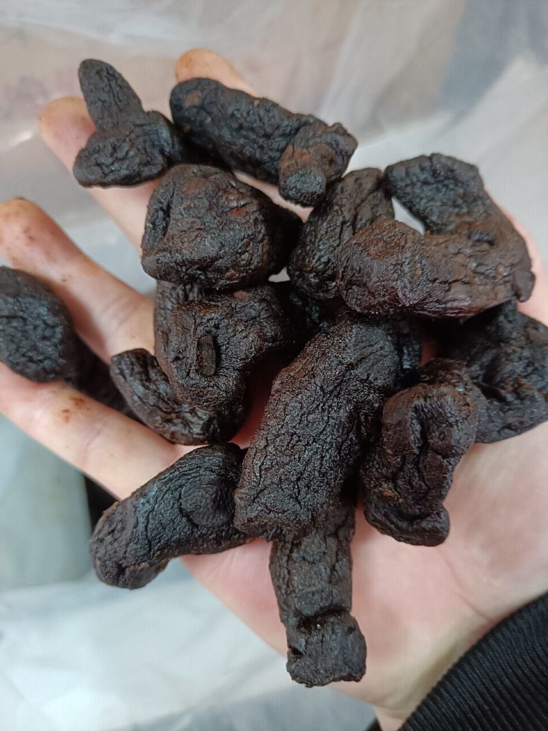 滇黄精肉质九蒸九晒软黄精多种规格批发零售