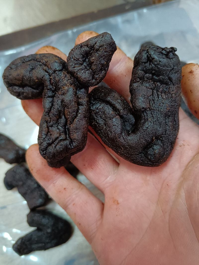 滇黄精肉质九蒸九晒软黄精多种规格批发零售