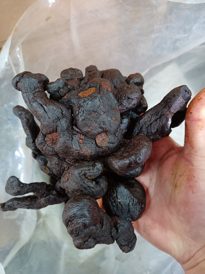 滇黄精肉质九蒸九晒软黄精多种规格批发零售