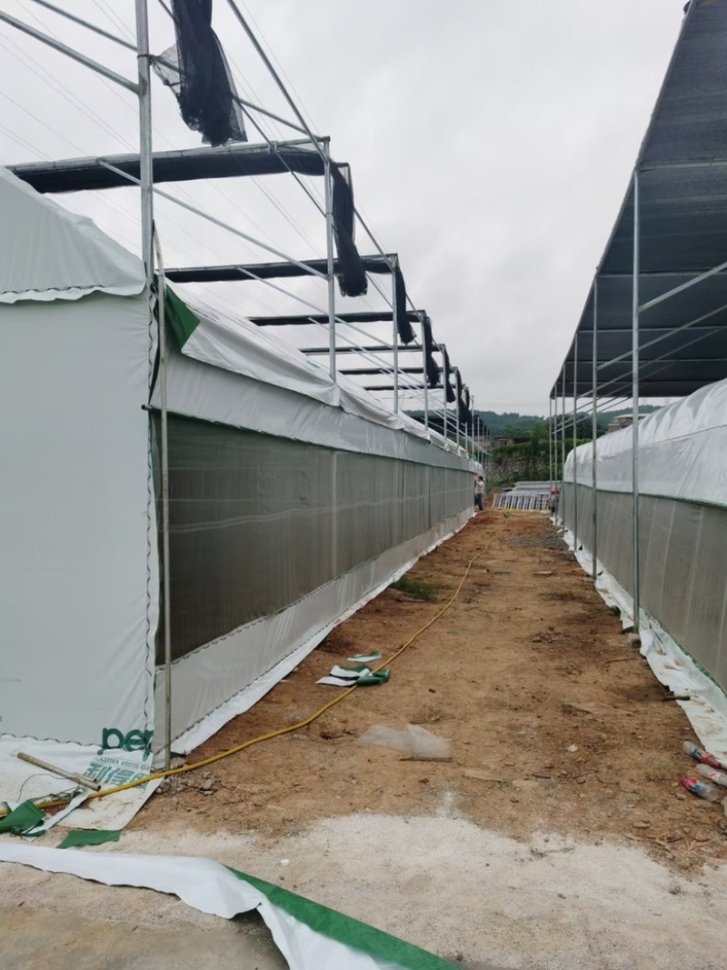 亏本清仓养兔大棚养鸡棚尺寸齐全包建