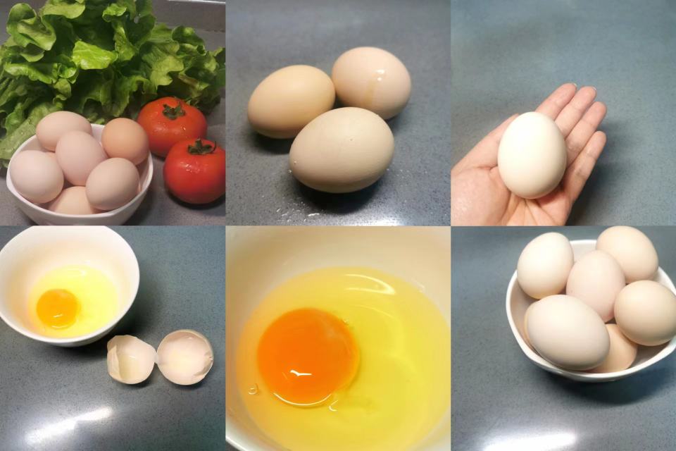 鸡蛋选购与储存示意图