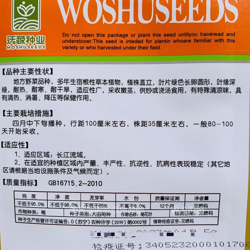 南京地方野菜品种菊花叶种子多年生草本植物菊花脑种子蔬菜种
