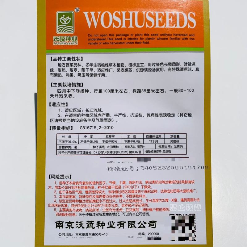 南京地方野菜品种菊花叶种子多年生草本植物菊花脑种子蔬菜种