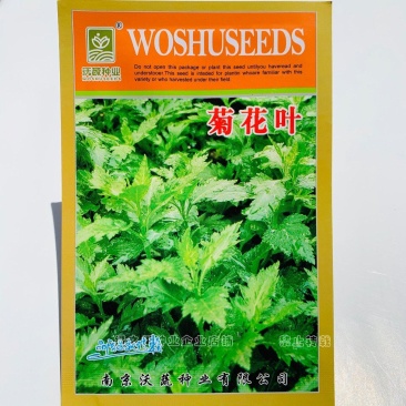 南京地方野菜品种菊花叶种子多年生草本植物菊花脑种子蔬菜种