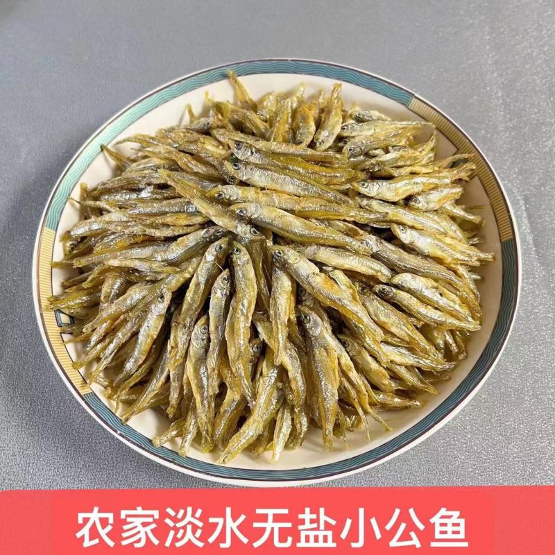 【精品】无盐小公鱼干当年新品品质保证欢迎下单