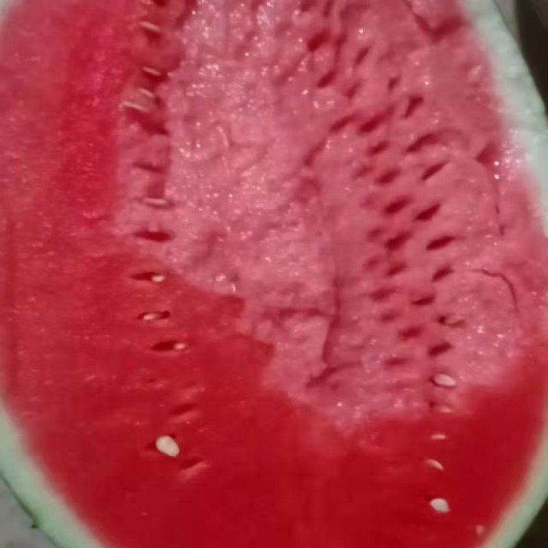 美都西瓜陕西西瓜规格齐支持视频看货代发