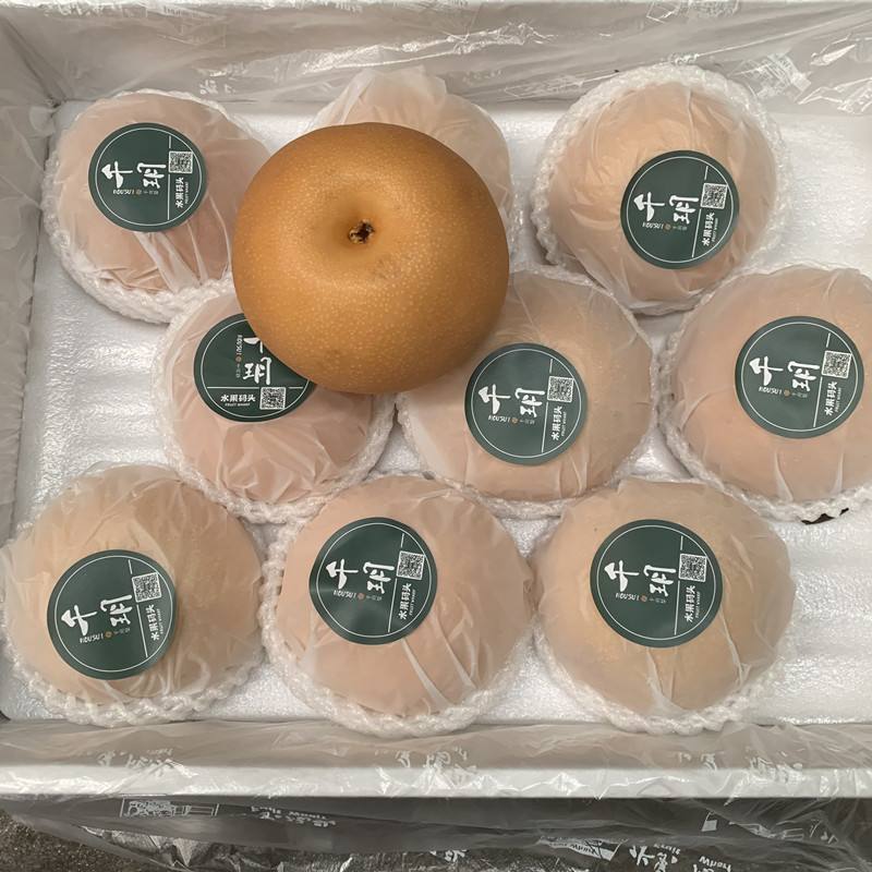 河北精品秋月梨大量上市甜度高水分足规格齐全