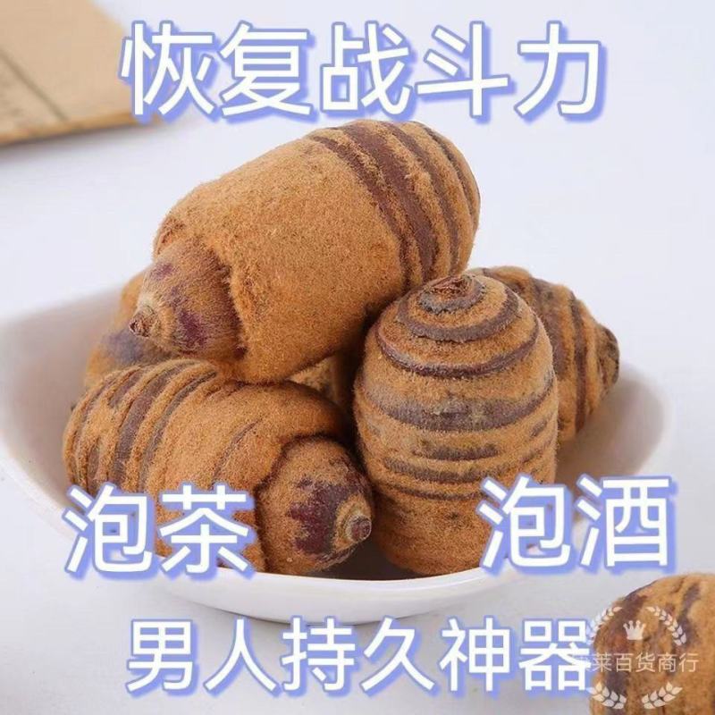 大颗粒狗鞭果正宗狗鞭果虎鞭果广西壮药狗鞭果中药材泡茶泡酒