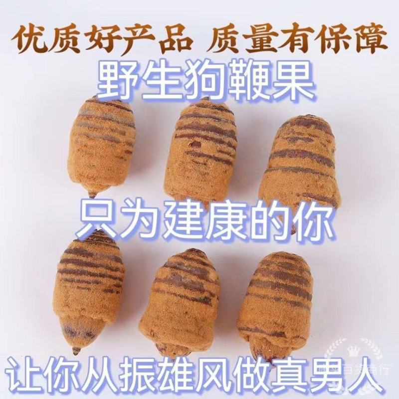 大颗粒狗鞭果正宗狗鞭果虎鞭果广西壮药狗鞭果中药材泡茶泡酒