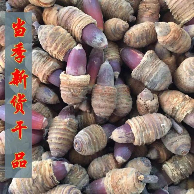大颗粒狗鞭果正宗狗鞭果虎鞭果广西壮药狗鞭果中药材泡茶泡酒