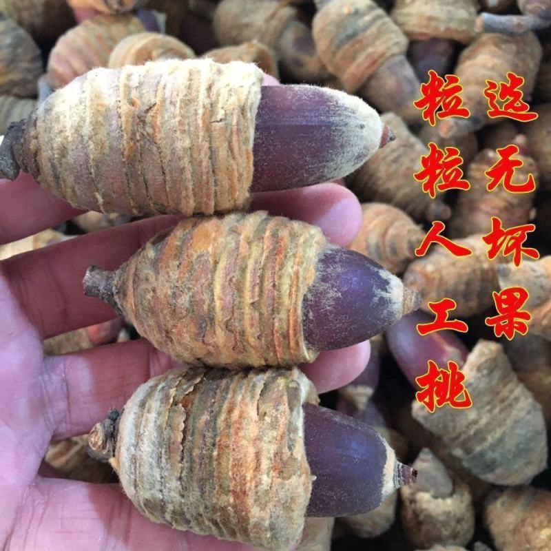 大颗粒狗鞭果正宗狗鞭果虎鞭果广西壮药狗鞭果中药材泡茶泡酒