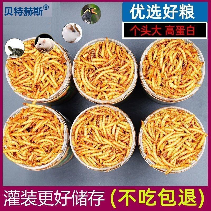 面包虫干黄粉虫干高蛋白乌龟仓鼠刺猬观赏鱼粮食宠物松鼠零食