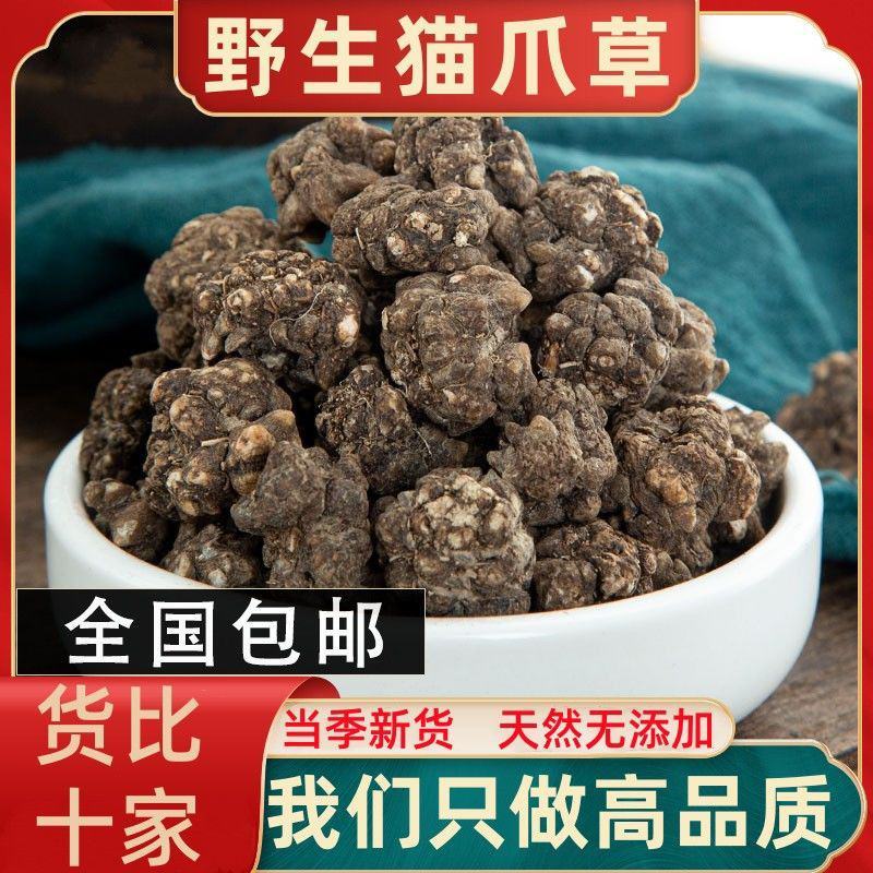 猫抓草中药材正品猫爪草泡茶水猫瓜草新鲜批发夏枯草车前猫抓