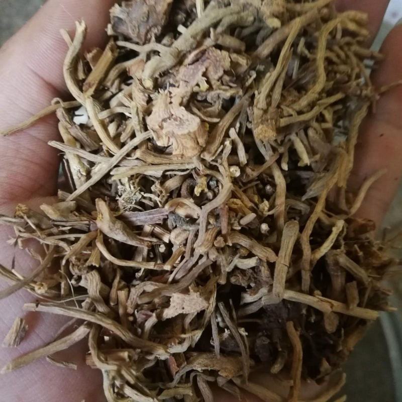 野生大伸筋中药材牛尾菜牛尾蕨牛尾结大通根金刚豆藤