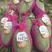 海南哈密瓜晓蜜25哈密瓜新鲜水果承接全国电超市场团购