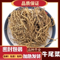 野生大伸筋中药材牛尾菜牛尾蕨牛尾结大通根金刚豆藤