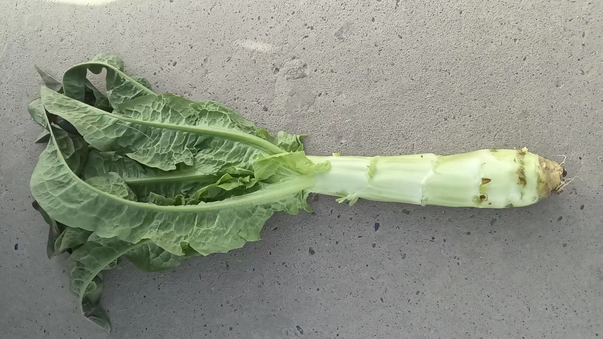 成品图：红椒尖尖笋装盘效果