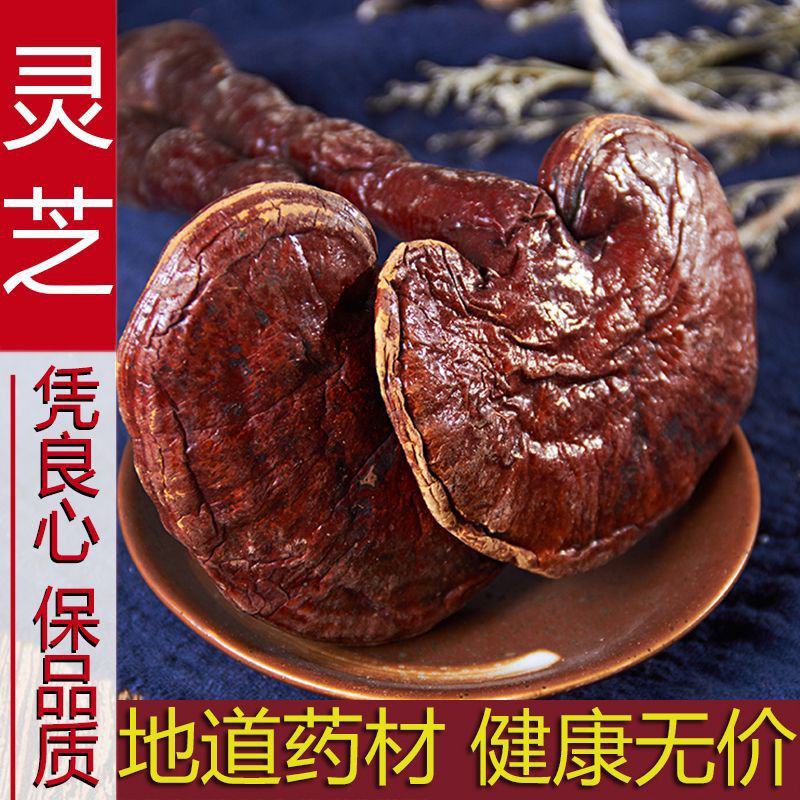 灵芝长白山赤灵芝野生特级切片纯龙芝紫灵芝片林芝灵芝茶正品