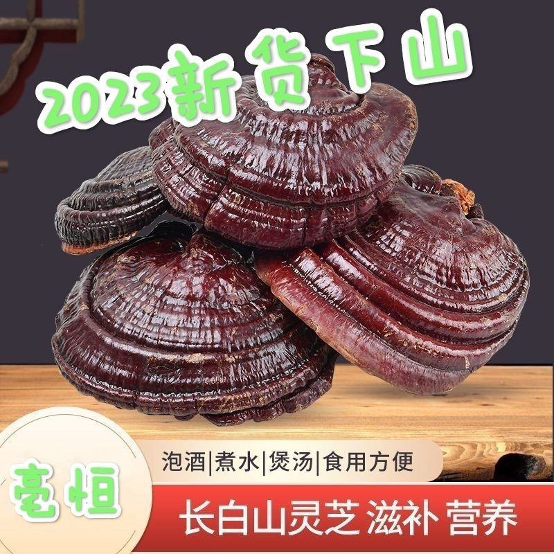 灵芝长白山赤灵芝野生特级切片纯龙芝紫灵芝片林芝灵芝茶正品