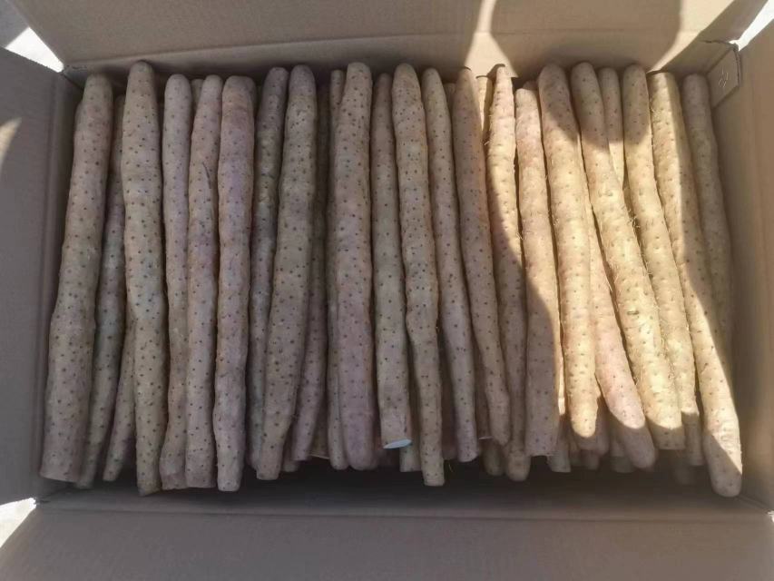 处理好的排骨、山药和竹笋整齐摆放在案板上