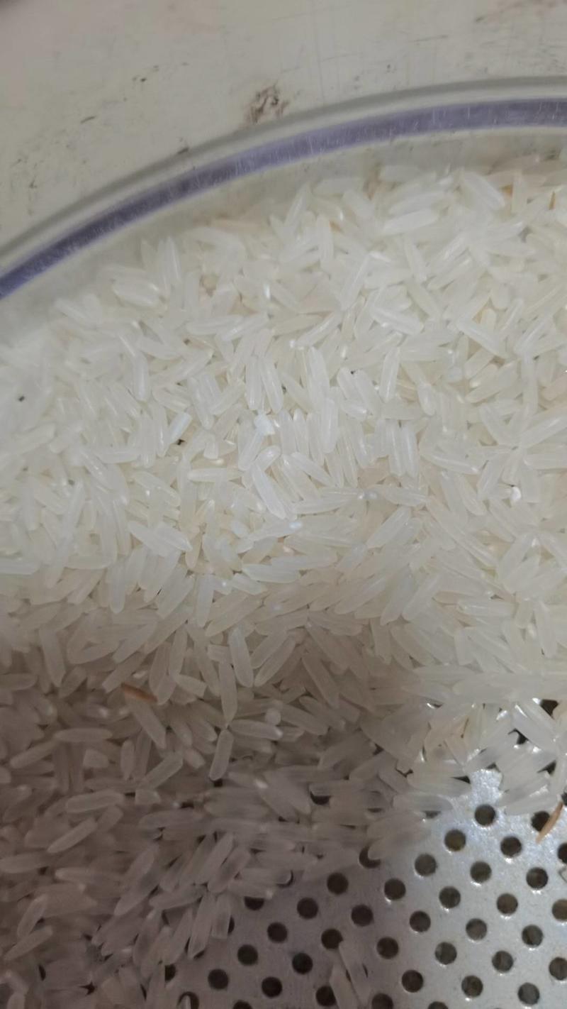 华润二号优质稻稻谷晚稻