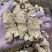 加拿大进口30克西洋参新货大量批发