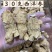 加拿大进口30克西洋参新货大量批发