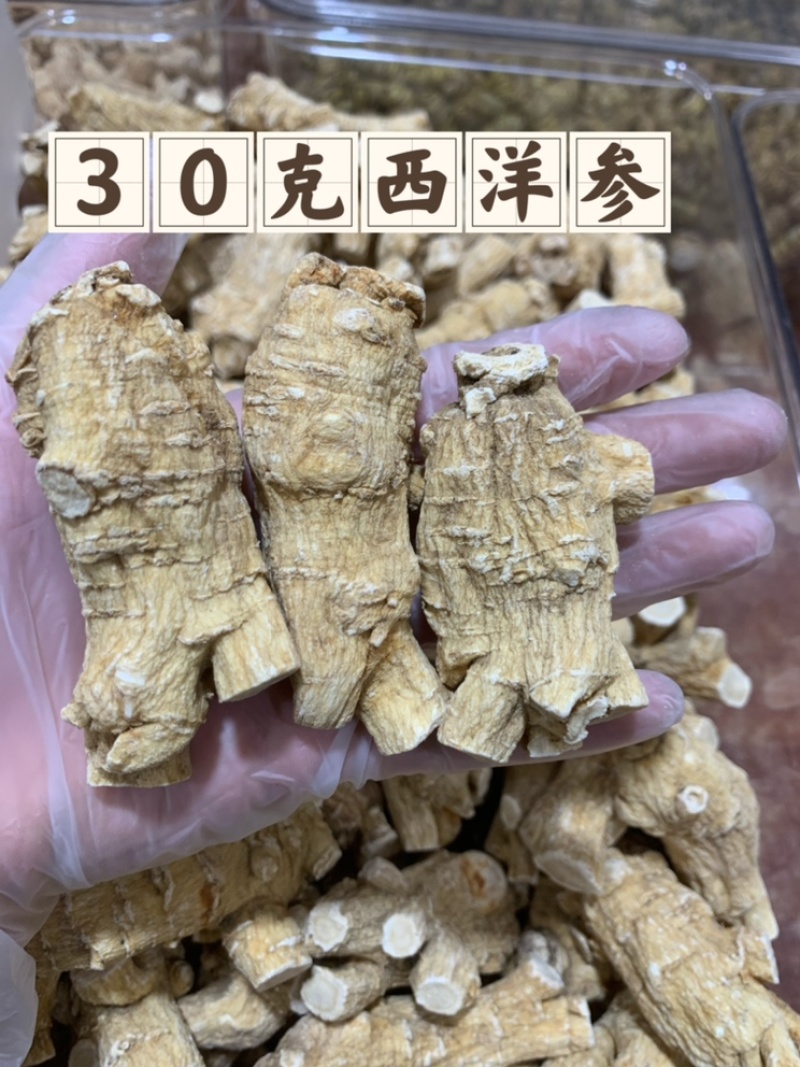 加拿大进口30克西洋参新货大量批发