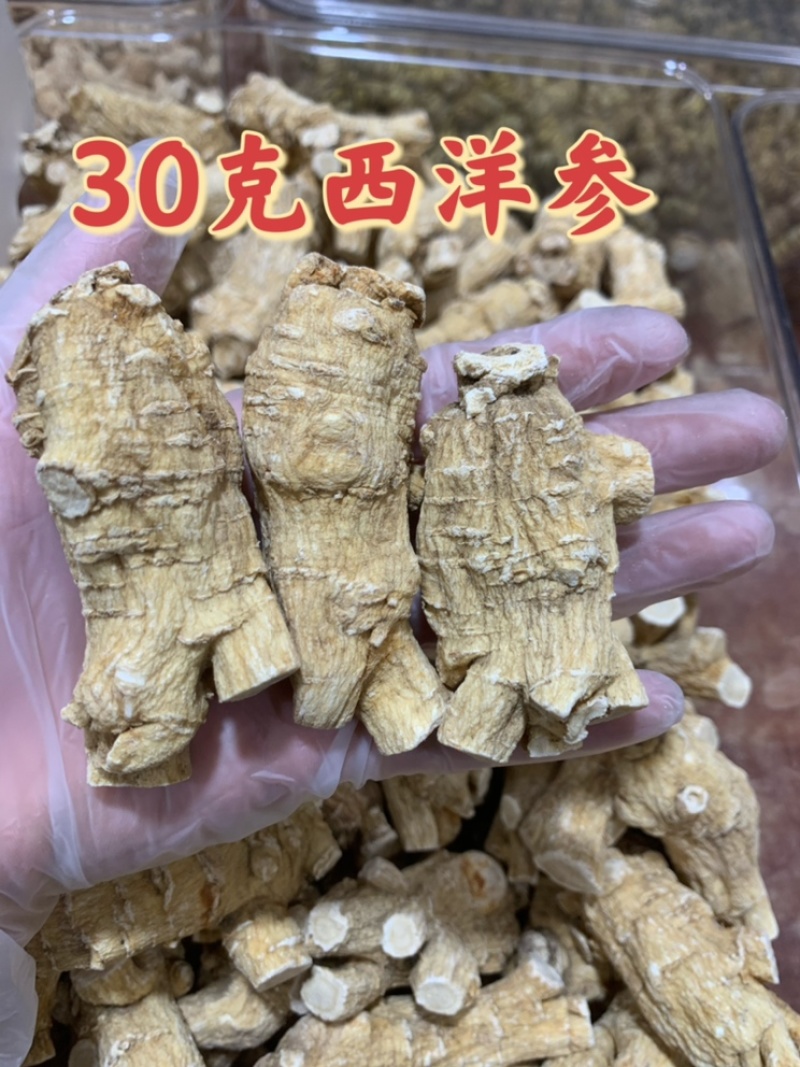 加拿大进口30克西洋参新货大量批发