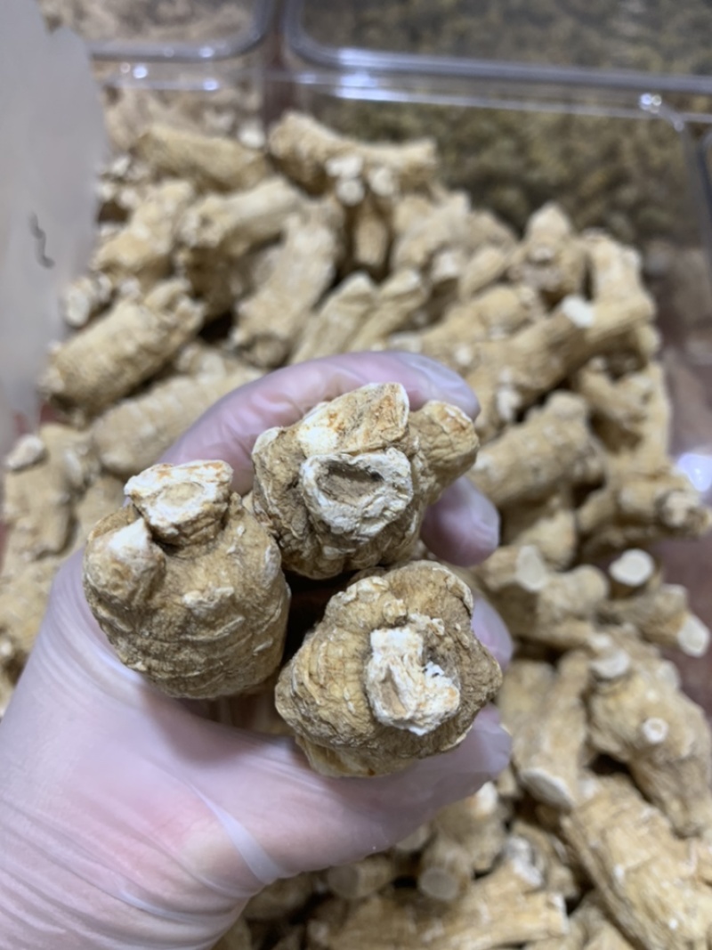 加拿大进口30克西洋参新货大量批发