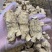 加拿大进口30克西洋参新货大量批发