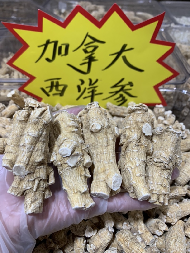 加拿大进口30克西洋参新货大量批发