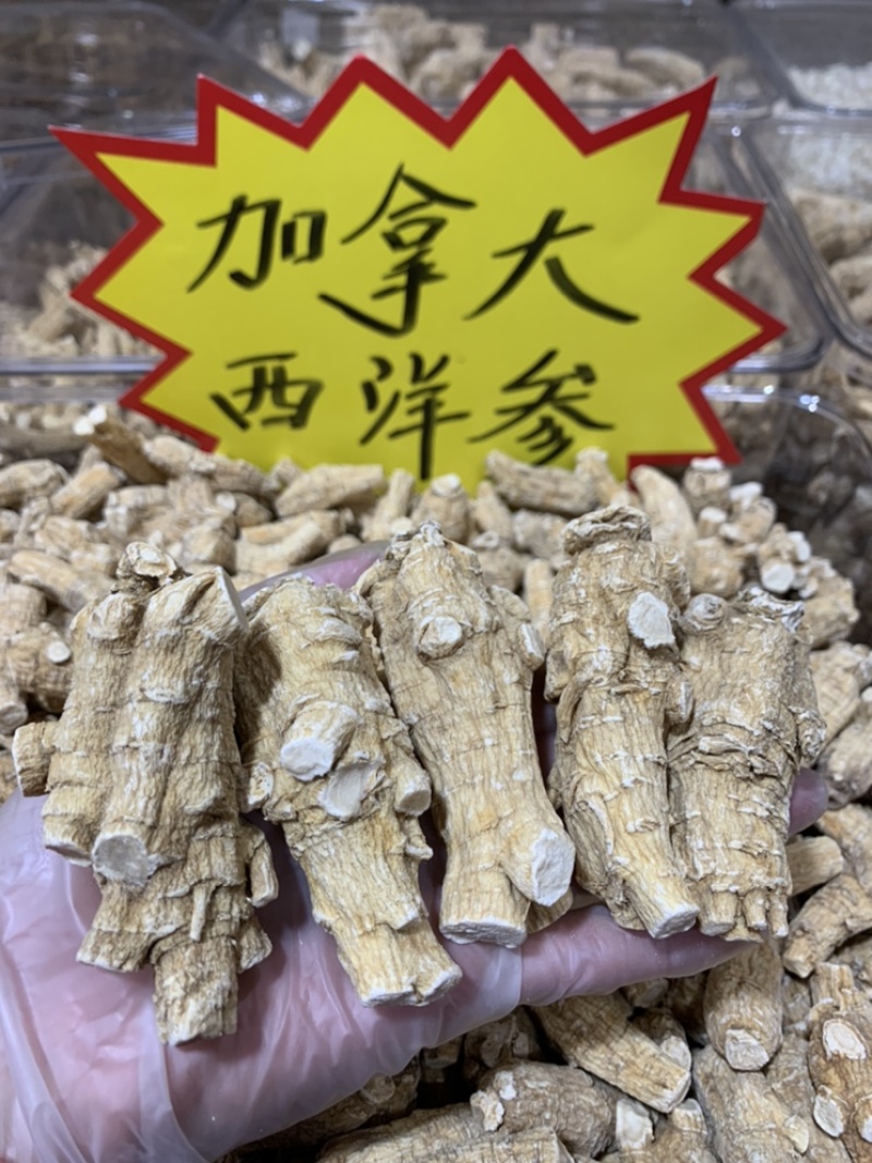 加拿大进口30克西洋参新货大量批发