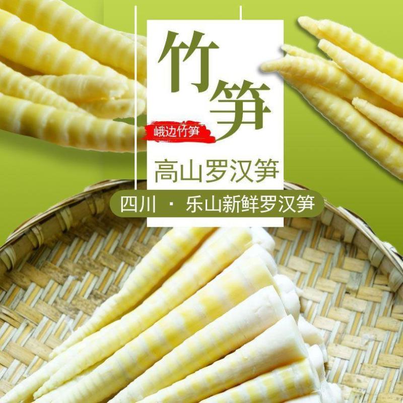 高山罗汉竹笋，产地直供，品质保证，一手货源，诚信经营