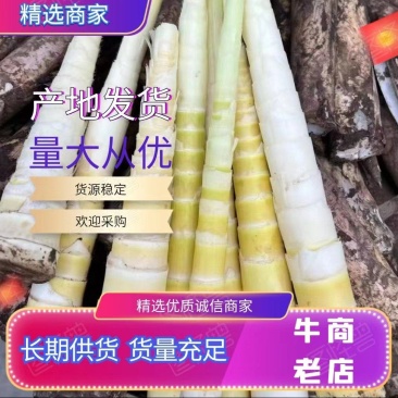 高山罗汉竹笋，产地直供，品质保证，一手货源，诚信经营