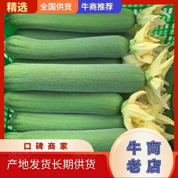 肉丝瓜，品质保证，产地直供，全国发货，欢迎致电