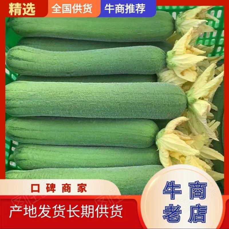 肉丝瓜，品质保证，产地直供，全国发货，欢迎致电