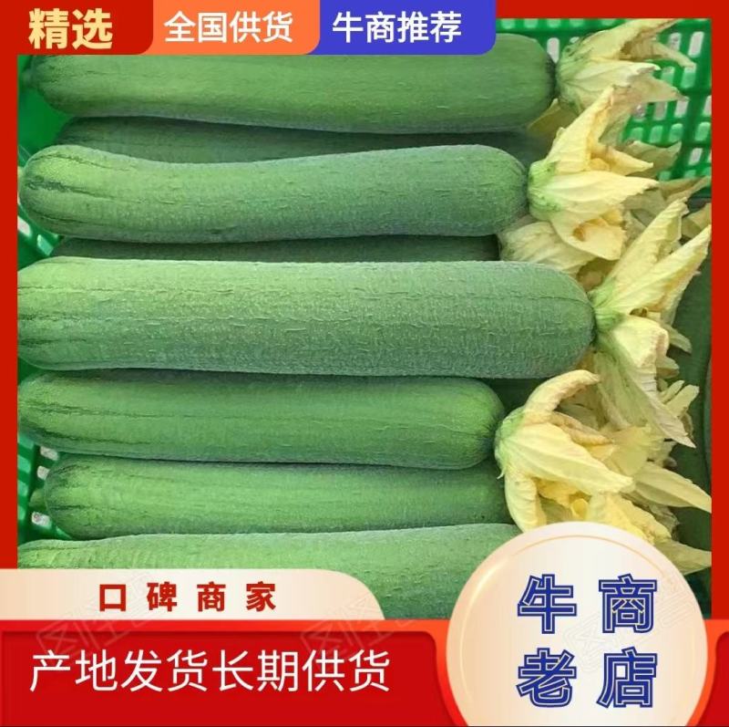 肉丝瓜，品质保证，产地直供，全国发货，欢迎致电