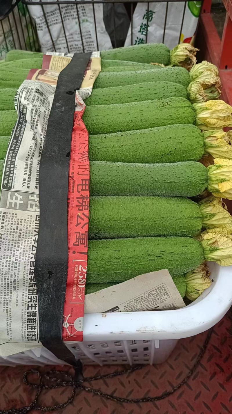 肉丝瓜，品质保证，产地直供，全国发货，欢迎致电