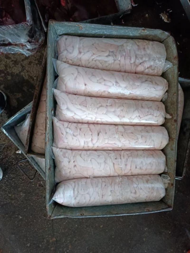 羊肥肠，免洗，量大优惠，内蒙草地羊，优质产品