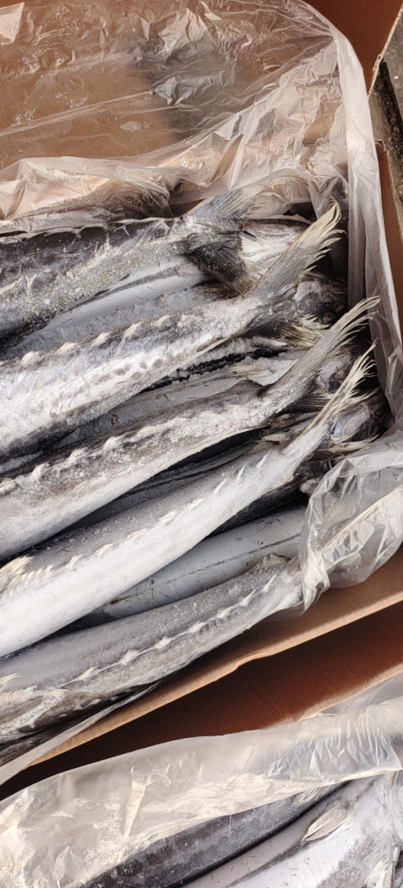 马鲛鱼，鲅鱼缓鲜马鲛鱼鲅鱼高品质